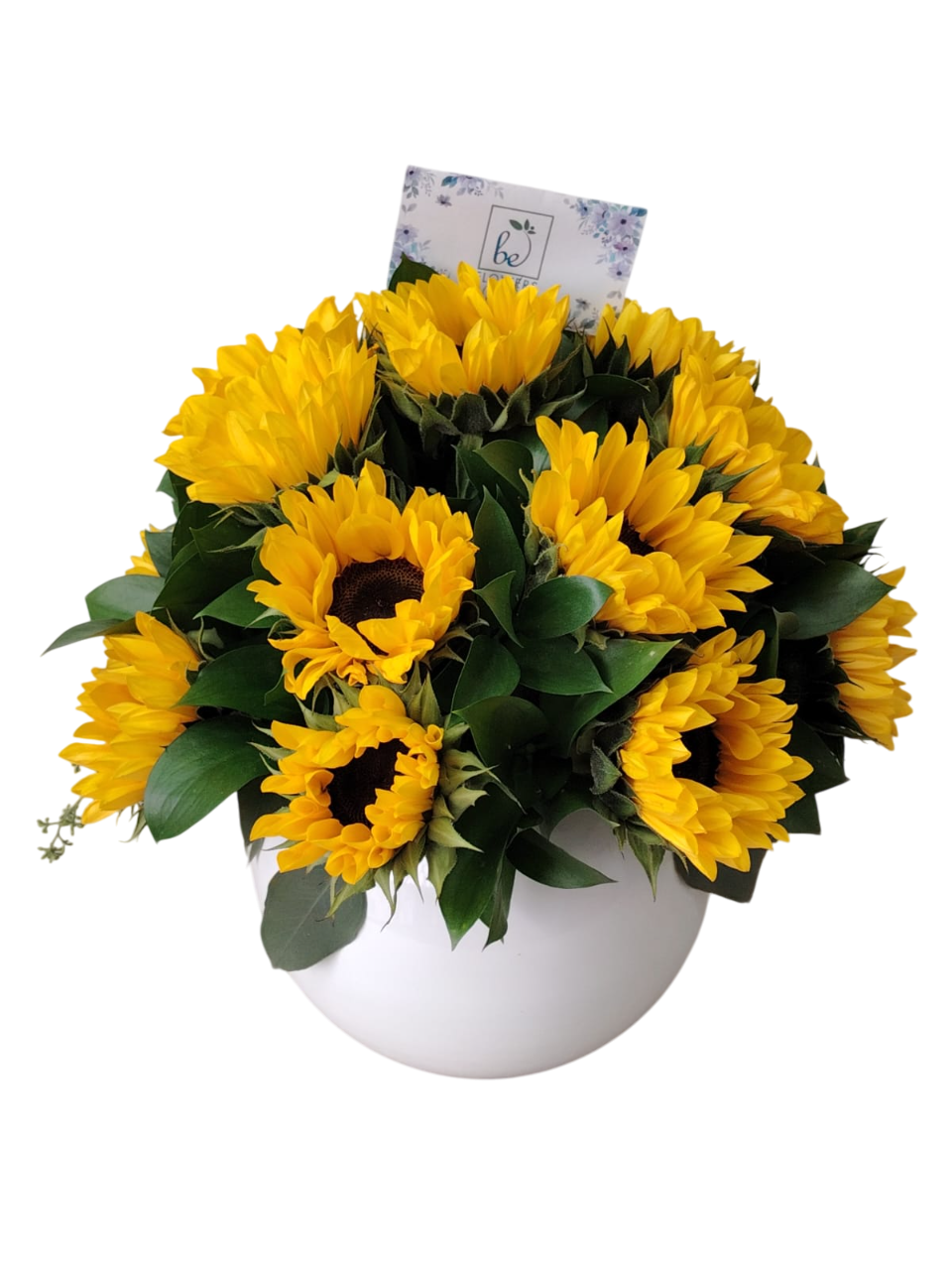 SOL DE AMOR, FLORERO