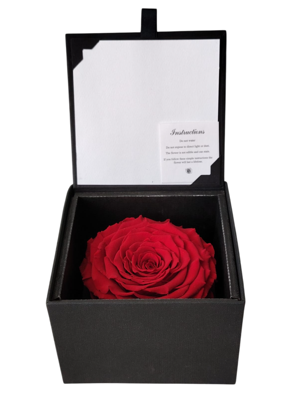 IDILIO ETERNA, ARREGLO FLORAL