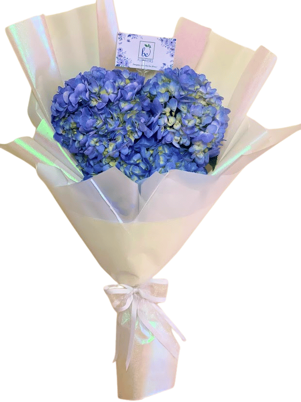 HORTENSIAS LOVE, BOUQUET