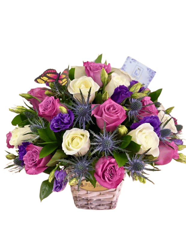 CESTA LILAC