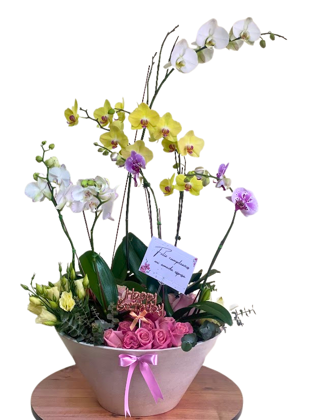 JARDÍN DE ORQUÍDEAS, PLANTAS