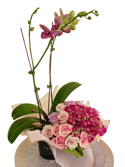 ORQUÍDEAS, PLANTAS